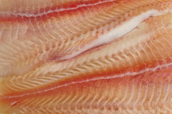 Çiğ balık filetosu — Stok fotoğraf