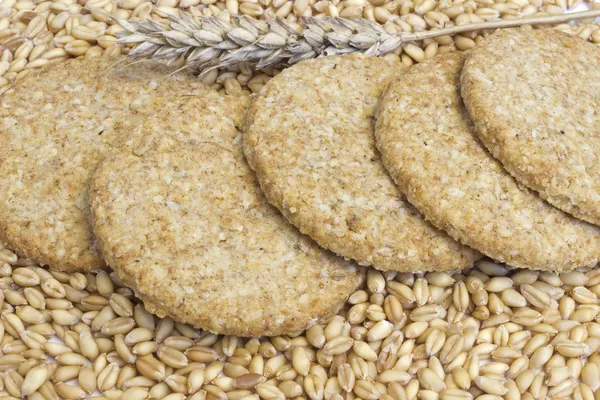 Biscuits de blé entier — Photo