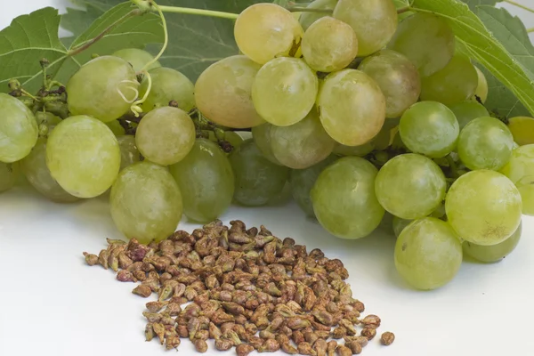 Grape seeds on white background