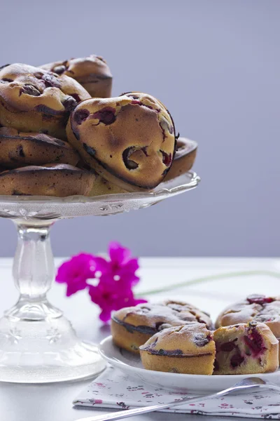 Pastel de frutas — Foto de Stock