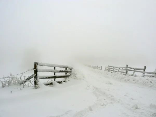 Neve e nevoeiro — Fotografia de Stock