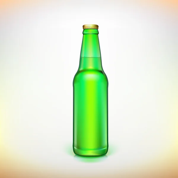 Glass beer green bottle. Product packing. — Stock Vector