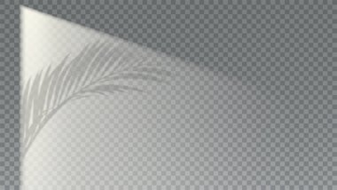 Damalı arkaplanda pencere silueti. Stüdyo duvarında palmiye yaprağının gölgesi. Şeffaf arkaplan üzerinde gölge örtüsü etkisi. Vektör illüstrasyonu.