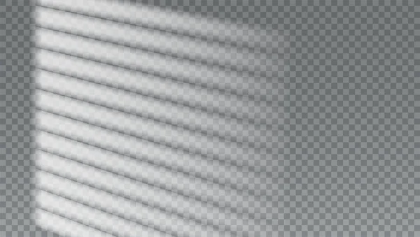 Silhouette Blinds Checkered Background Sun Rays Studio Wall Shadow Overlay — Vetor de Stock