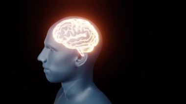3D biçimlendirilmiş animasyon şeffaf silueti 360 derece döndürür, neon parlayan beyin, insan kafasının içinde, beyin MR 'ı, röntgen ışını, testler, tomografi