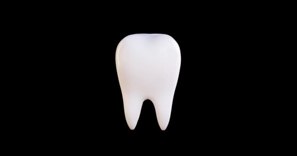 3D动画的牙齿颜色会改变白色 循环视频 360度轮流 — 图库视频影像