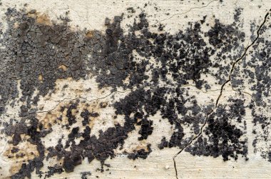 Eski kirli beton duvarın deseni