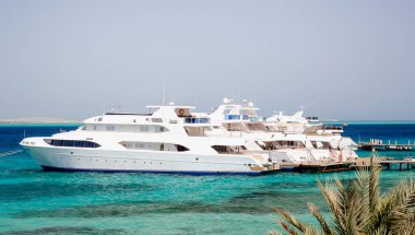 Mısır Kızıl Denizi 'nde insansız birkaç gemi var.