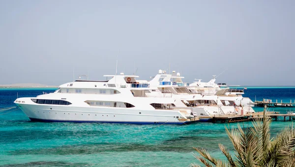 Mısır Kızıl Denizi 'nde insansız birkaç gemi var.