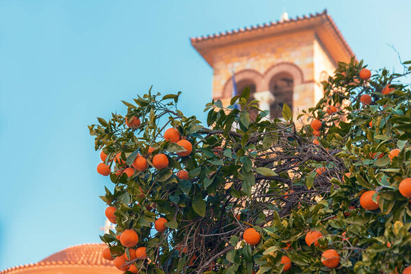 orange tree on the background of the bell tower of the Greek Christian church in Athens Greece