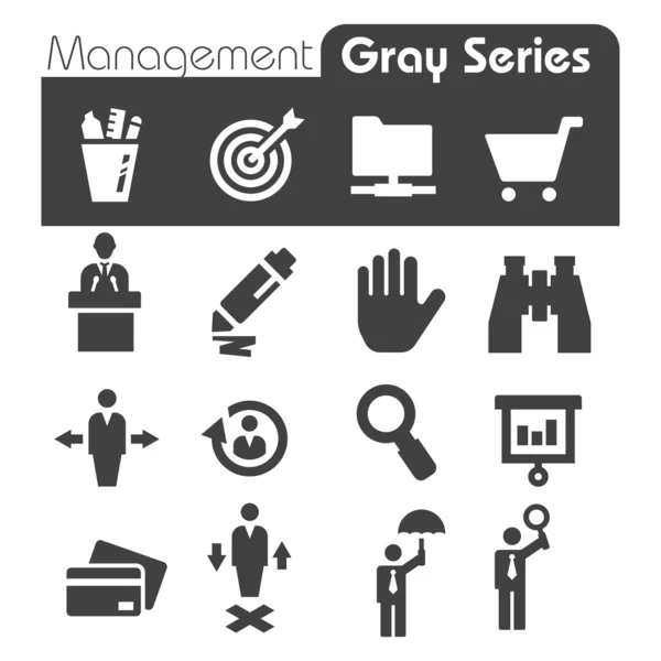 Iconos de gestión Serie Gray — Archivo Imágenes Vectoriales