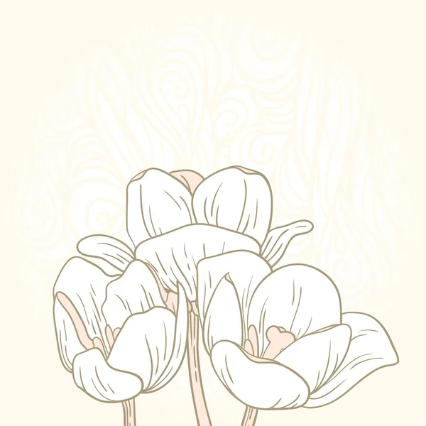 チューリップの花 — ストックベクタ
