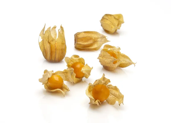 Physalis — Photo