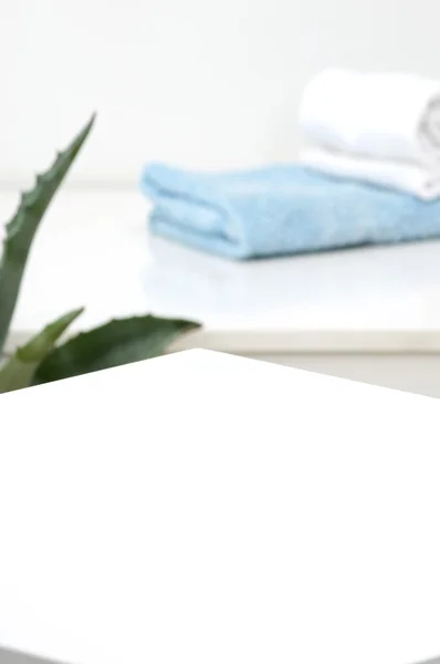 Boş beyaz masa, havlu ve aloe tesisi