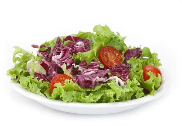 Salada de alface e repolho vermelho — Fotografia de Stock