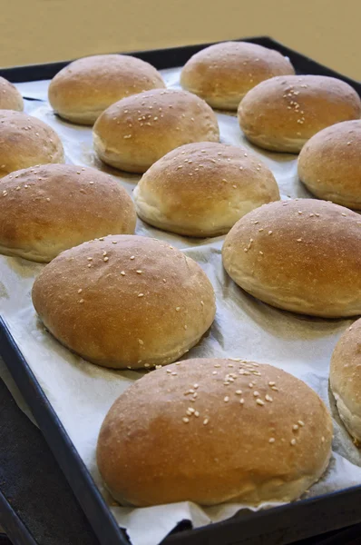 Rolos de pão em uma bandeja (vertical ) — Fotografia de Stock