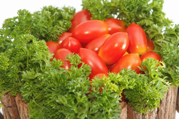 Tomate con pastilla en la maceta de madera — Foto de Stock