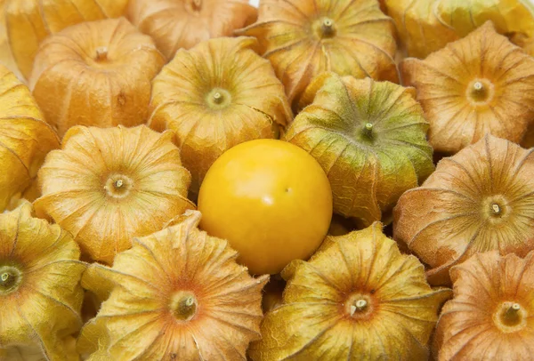 Cape gooseberry (Physalis) with pasley,healthy fruit and vegetable — Stock Photo, Image