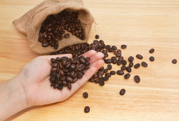 Koffiebonen in handen — Stockfoto
