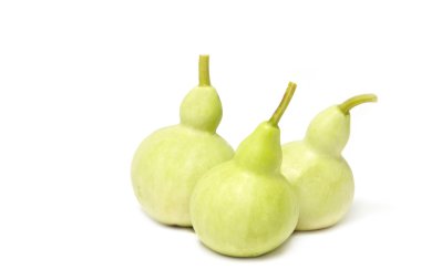 sukabağı, kabak şişe