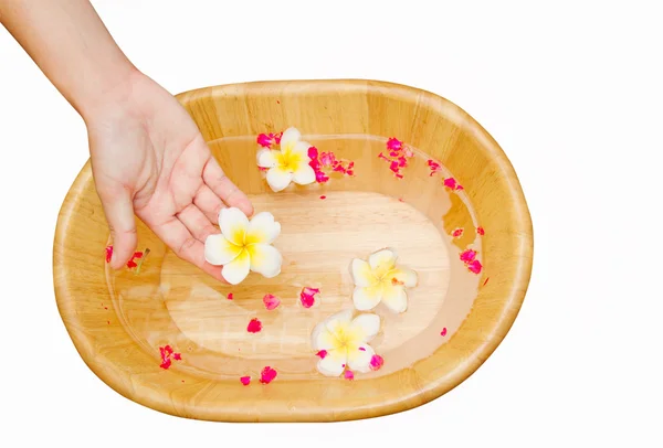 Woman Hands Spa — Stock Photo, Image