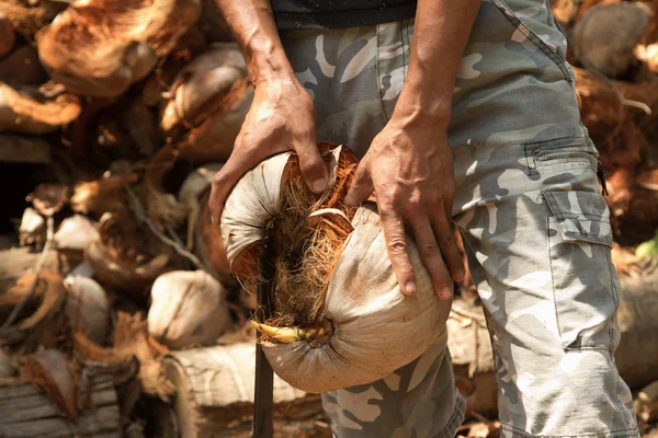 一名男子剥椰子、 泰国麦粒肿传统 — 图库照片
