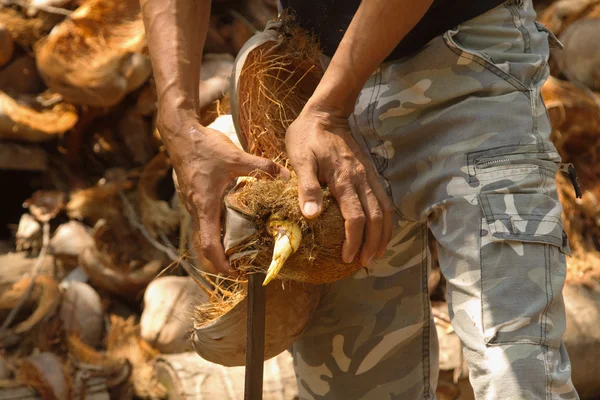 一名男子剥椰子、 泰国麦粒肿传统 — 图库照片