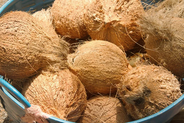 Coconut in the basket — Stock Photo, Image