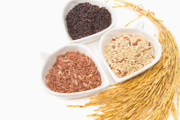 Variedades de arroz, trigo, arroz integral, arroz preto de jasmim em cera branca — Fotografia de Stock