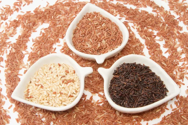 Rijst variëteiten, tarwe, bruine rijst, zwarte jasmin rijst in witte cera — Stockfoto