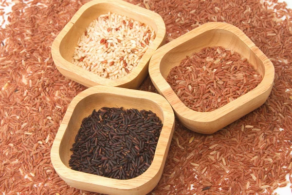 Castas de arroz, cereais e produtos de cereais — Fotografia de Stock
