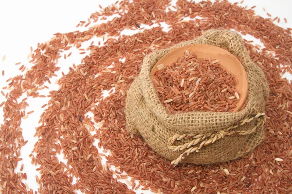 Brown jasmine rice in ceramic bowl — Stock Photo, Image