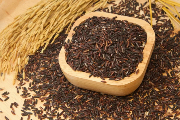 Thai black jasmine rice (Rice berry) — Stock Photo, Image