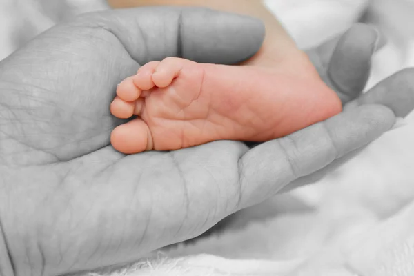 La mano de la madre sosteniendo los pies del bebé recién nacido — Foto de Stock