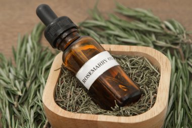 Biberiye bitki ve aromaterapi Uçucu Yağı damlalık şişe