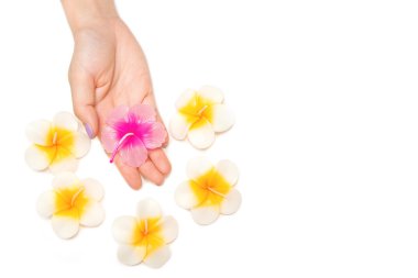 güzel aroma hibiscus spa mum