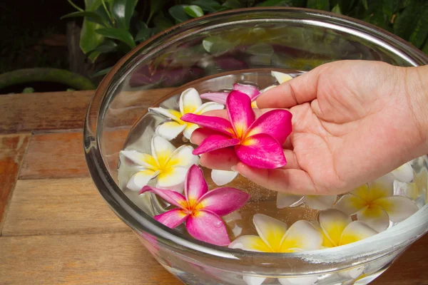 Spa à main avec fleur de plumeria — Photo