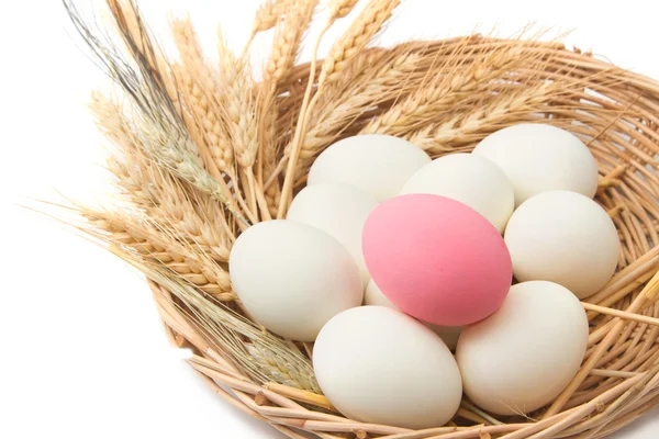 Duck eggs in the basket — Stock Photo, Image