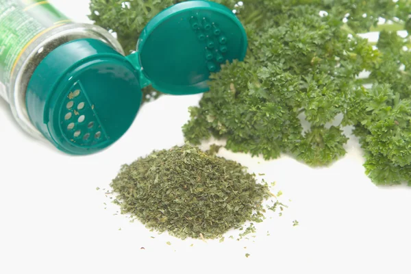 Fresh and dried parsley,herb and spice — Stock Photo, Image