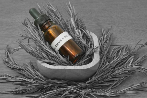 Rosemary herb and aromatherapy essential oil dropper bottle ,for spa treatment — Stock Photo, Image