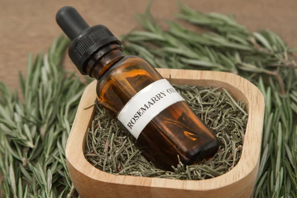 Rosemary herb and aromatherapy essential oil dropper bottle — Stock Photo, Image