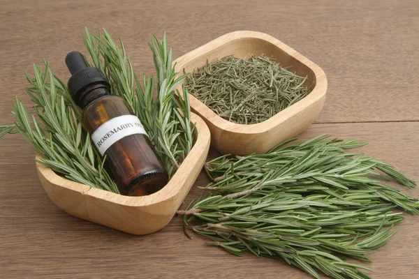 Rosemary herb and aromatherapy essential oil dropper bottle ,for spa treatment — Stock Photo, Image