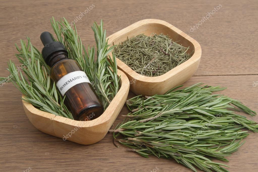 Rosemary herb and aromatherapy essential oil dropper bottle ,for spa