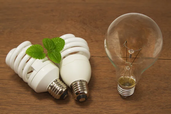 Incandescent dan Compact fluorescent, konsep hemat energi — Stok Foto