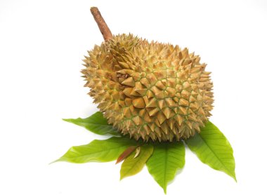 Durian, meyve, kralı Tay en sevdiği meyve