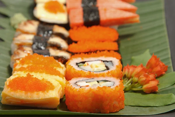Japon mutfağı, sushi set — Stok fotoğraf