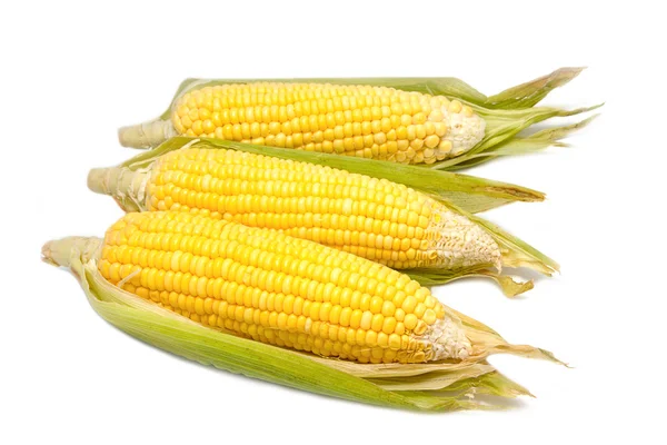 Verse organische maïs — Stockfoto