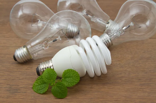 Incandescent dan Compact fluorescent, konsep hemat energi — Stok Foto