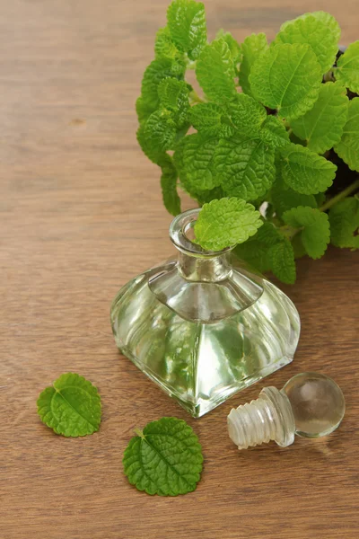 Essential aroma peppermint oil and fresh mint on wooden background — Stock Photo, Image