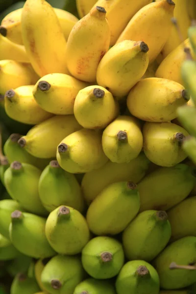Bos van bananen, achtergrond — Stockfoto